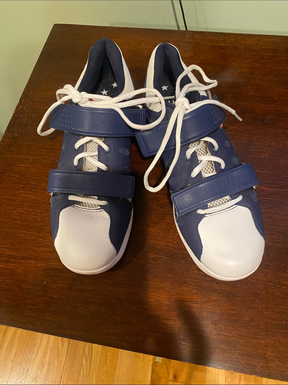 Navy and White Athletic Sneakers